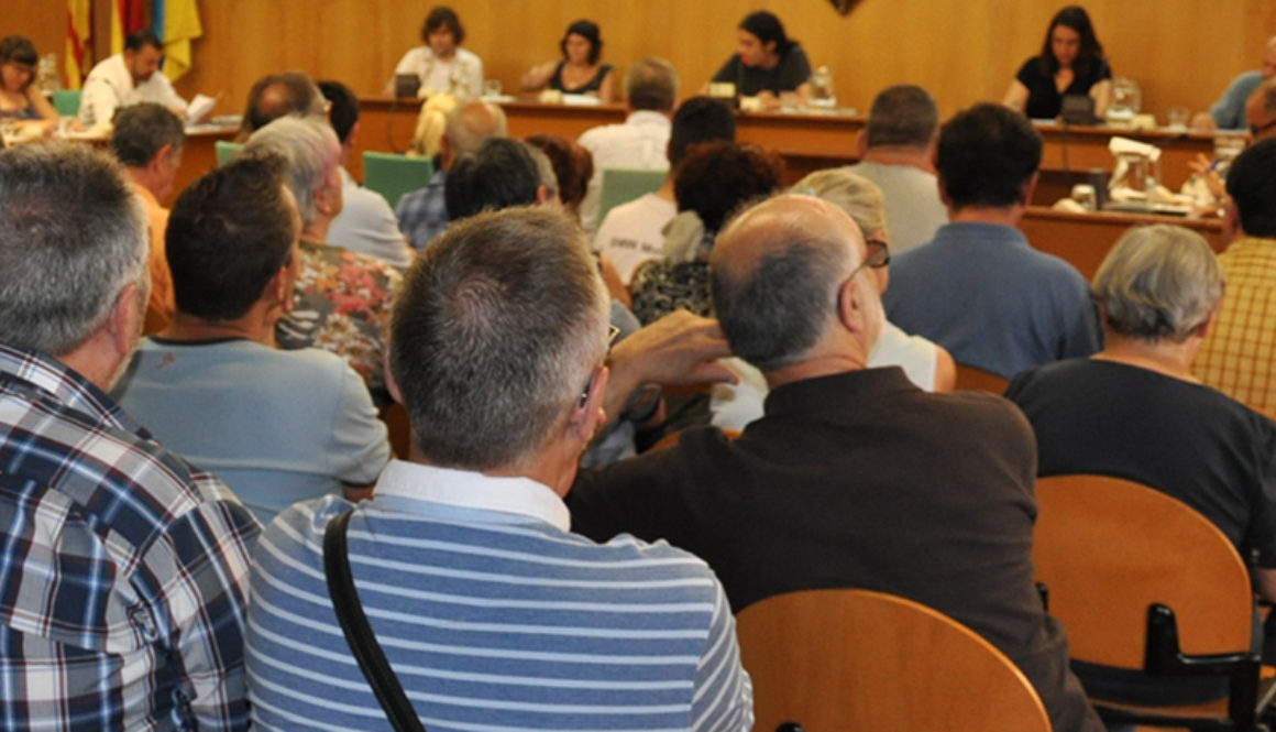 Ple Municipal Ple Municipal