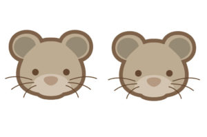 Ratones de buhardilla Ratones de buhardilla