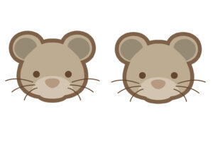 Ratones de buhardilla Ratones de buhardilla